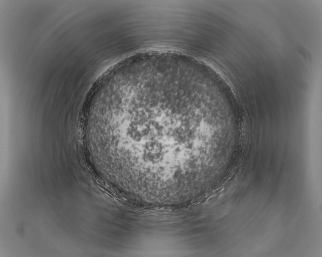 X0000111180823200907221046