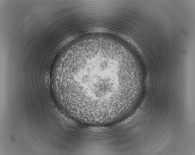 X0000111180825200907221046