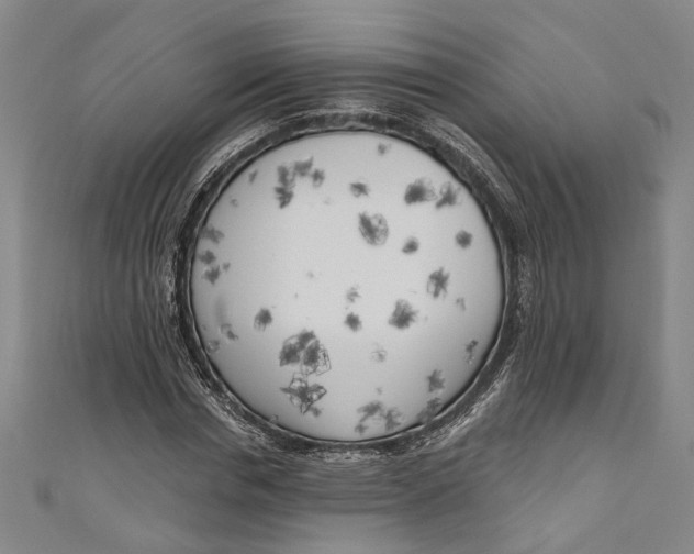 X0000111180826200907221046