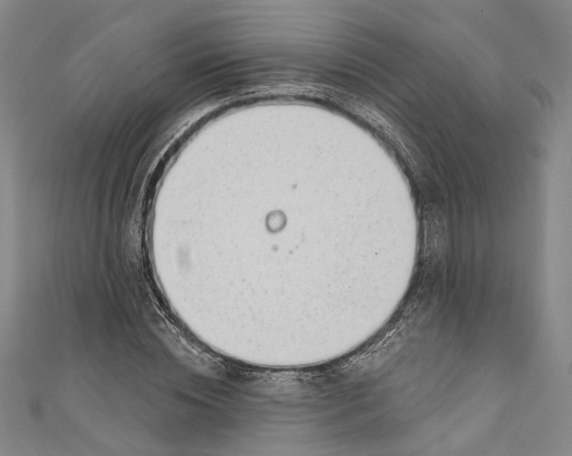 X0000111180828200907221046