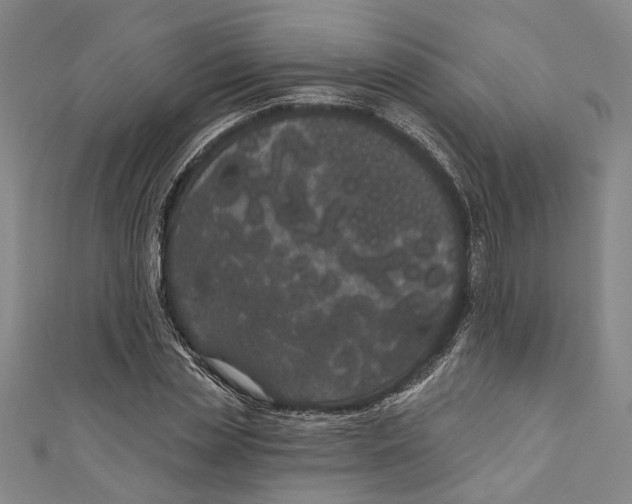 X0000111180829200907221046