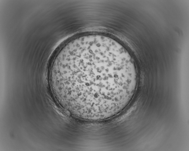 X0000111180830200907221046