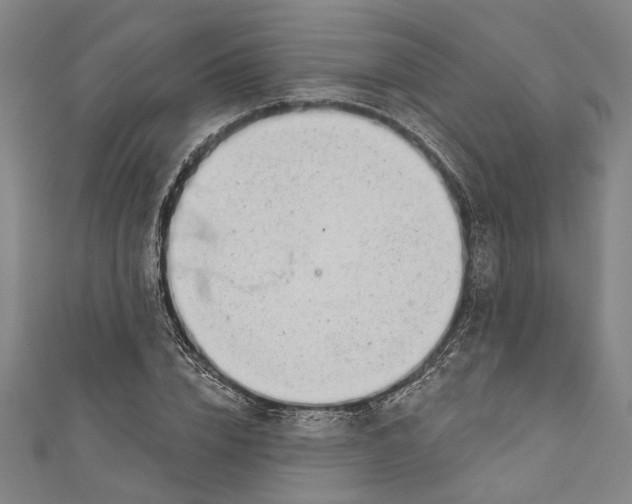 X0000111180832200907221047