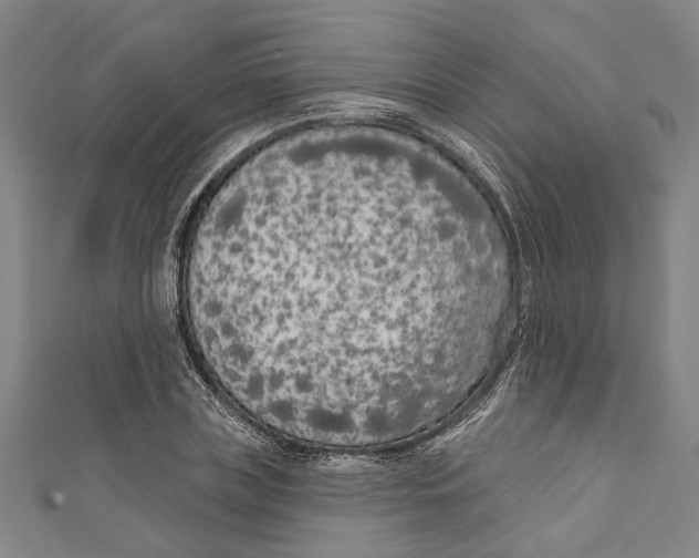 X0000111180835200907221047