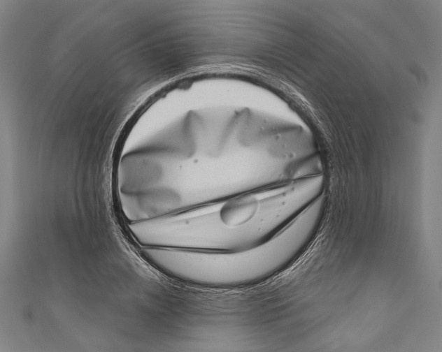 X0000111180836200907221047