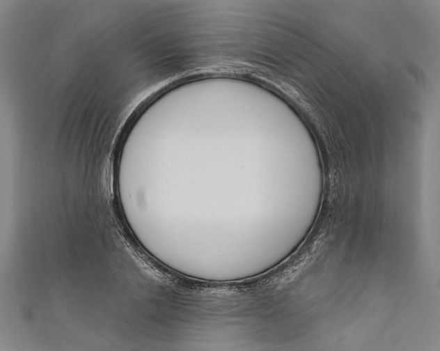 X0000111180838200907221047