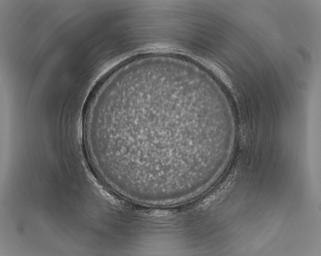 X0000111180839200907221047