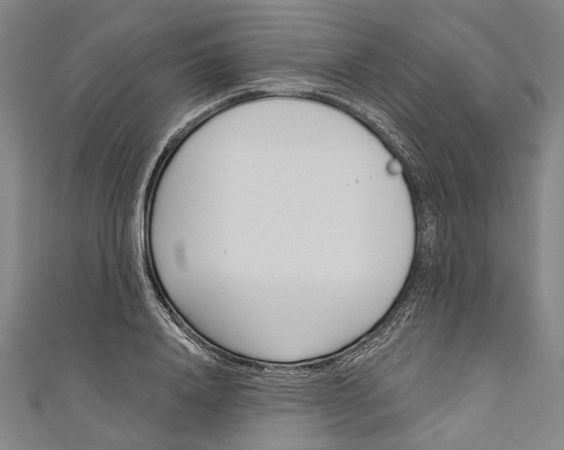 X0000111180840200907221047