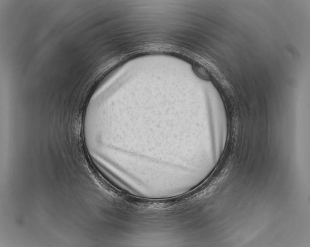 X0000111180841200907221047