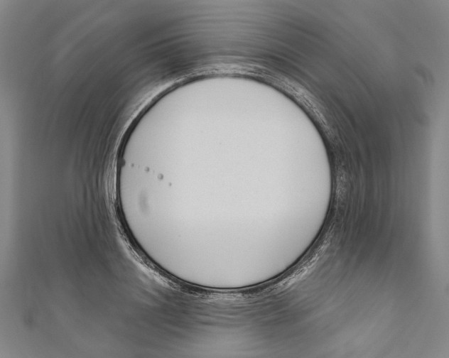 X0000111180844200907221047