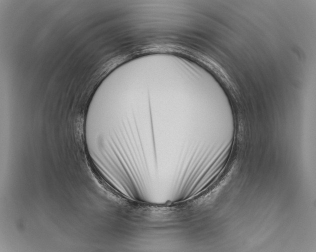 X0000111180849200907221047