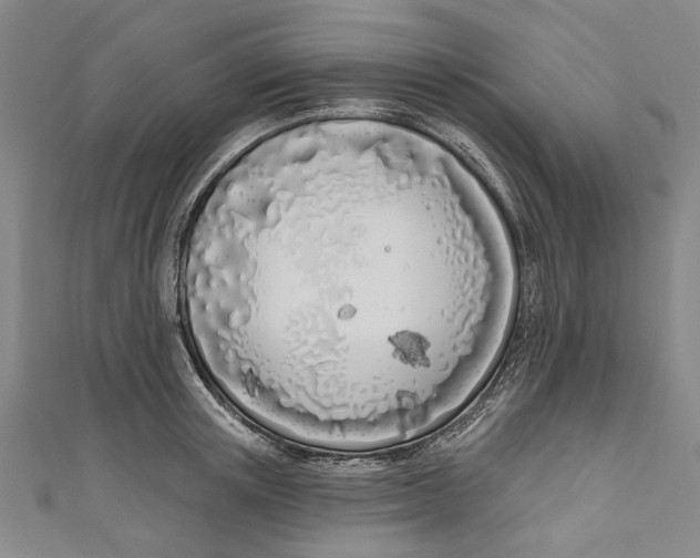 X0000111180851200907221047