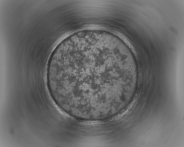 X0000111180853200907221047