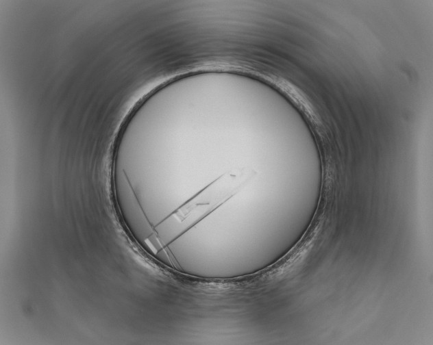 X0000111180854200907221047