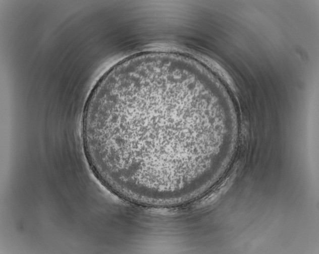 X0000111180855200907221047