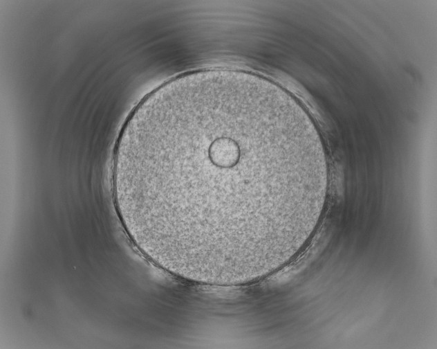 X0000111180856200907221047