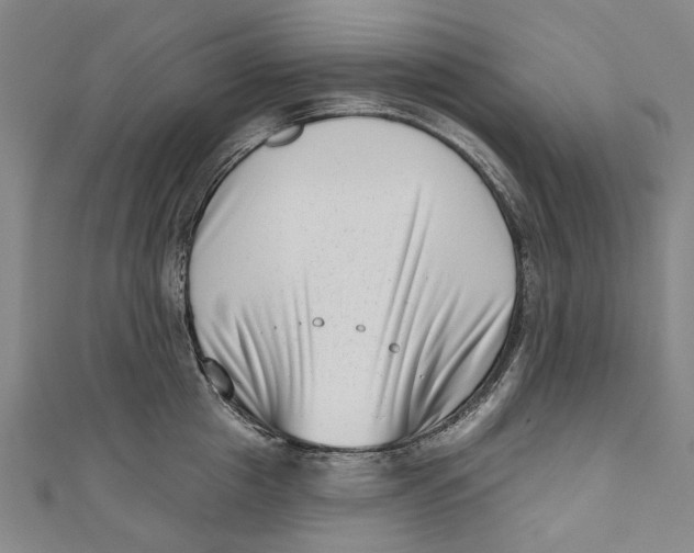 X0000111180857200907221047