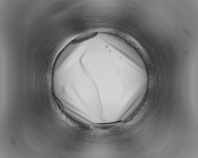 X0000111180860200907221047