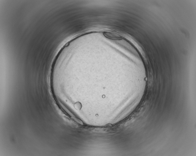 X0000111180861200907221047