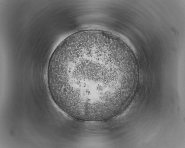 X0000111180863200907221047