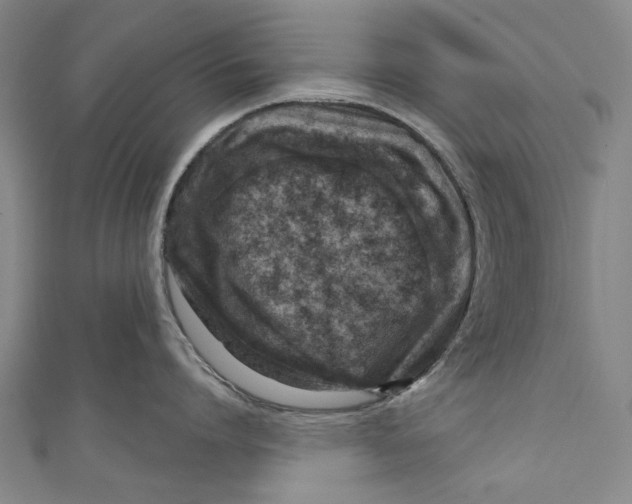 X0000111180864200907221047