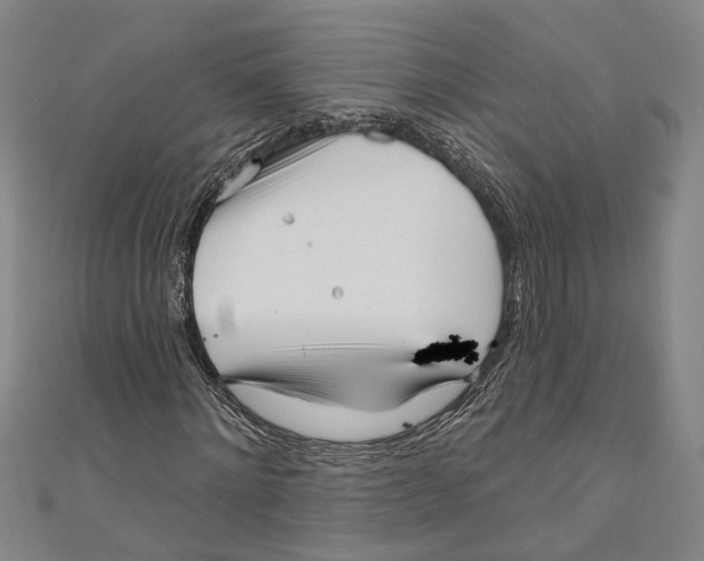 X0000111180868200907221046