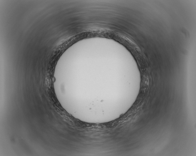 X0000111180869200907221046