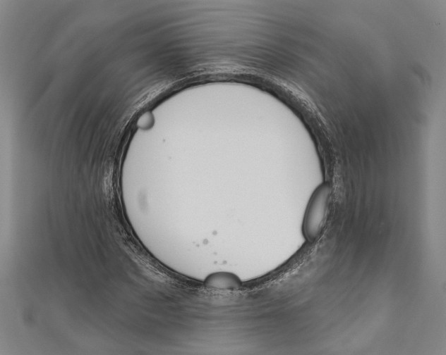 X0000111180873200907221046