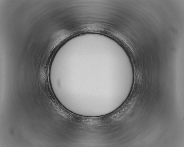 X0000111180874200907221046