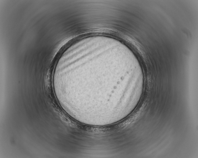 X0000111180875200907221046