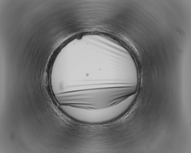 X0000111180876200907221046