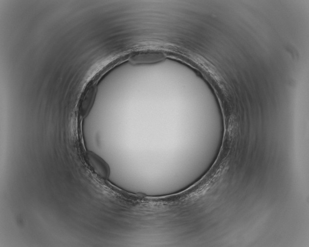 X0000111180877200907221046