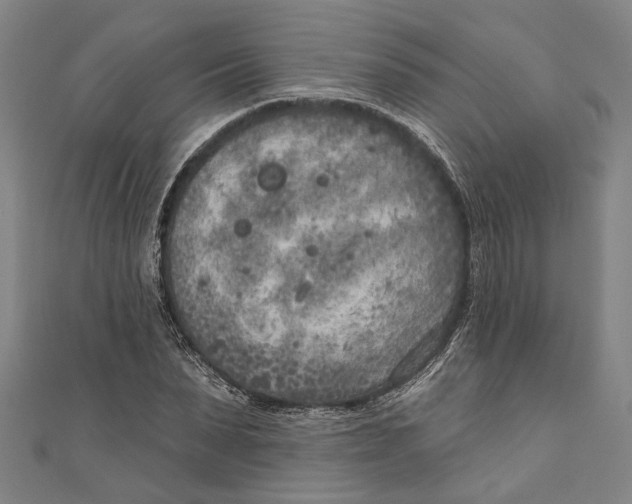 X0000111180879200907221046