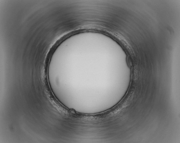 X0000111180880200907221046