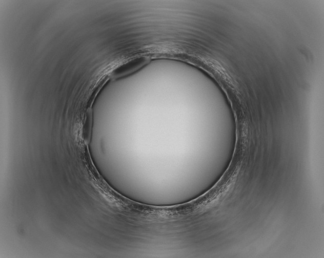 X0000111180881200907221046