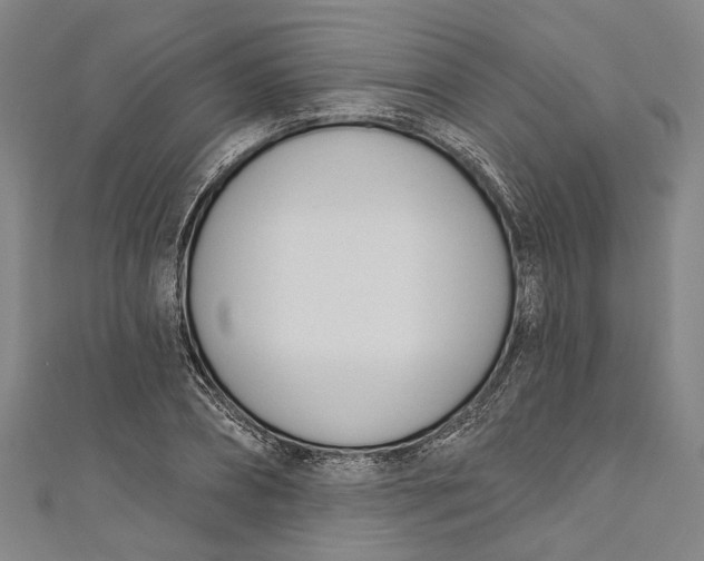 X0000111180882200907221046