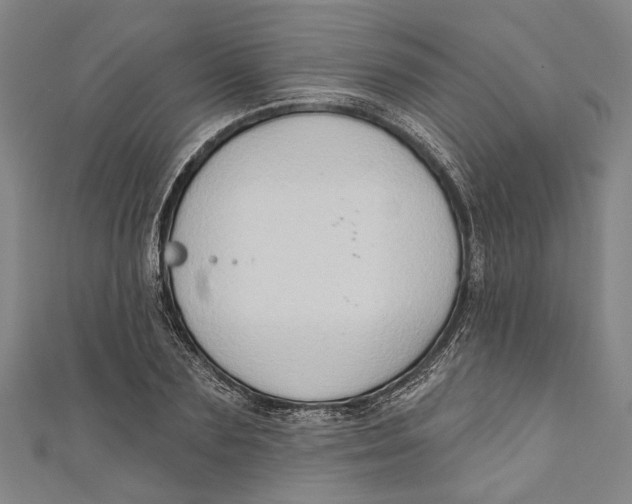 X0000111180883200907221046