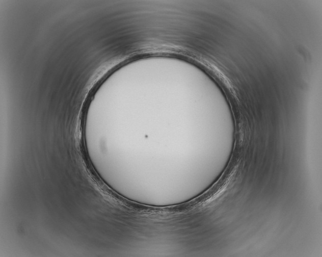 X0000111180885200907221046