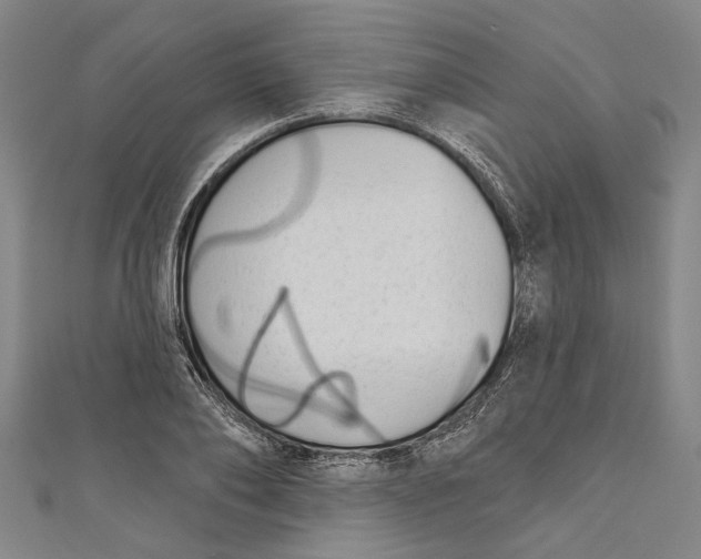 X0000111180886200907221046