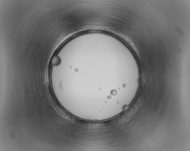 X0000111180887200907221046