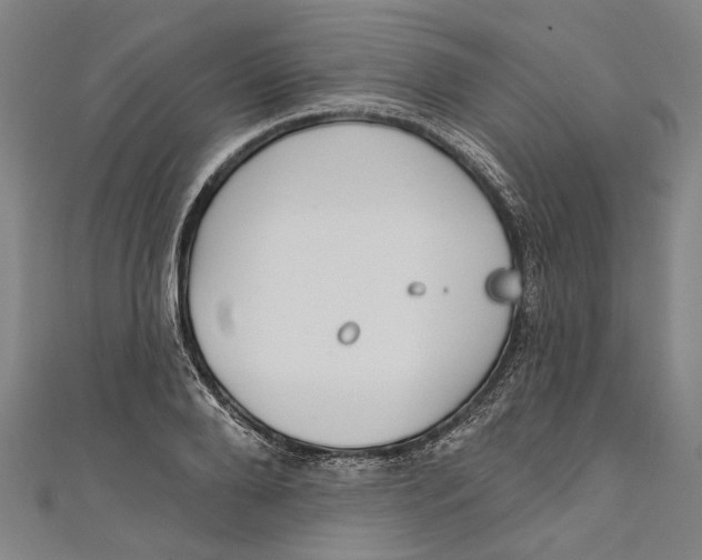 X0000111180888200907221046