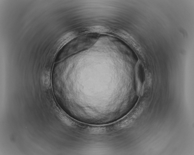 X0000111180889200907221046