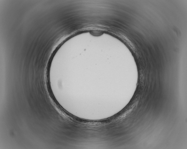 X0000111180893200907221046