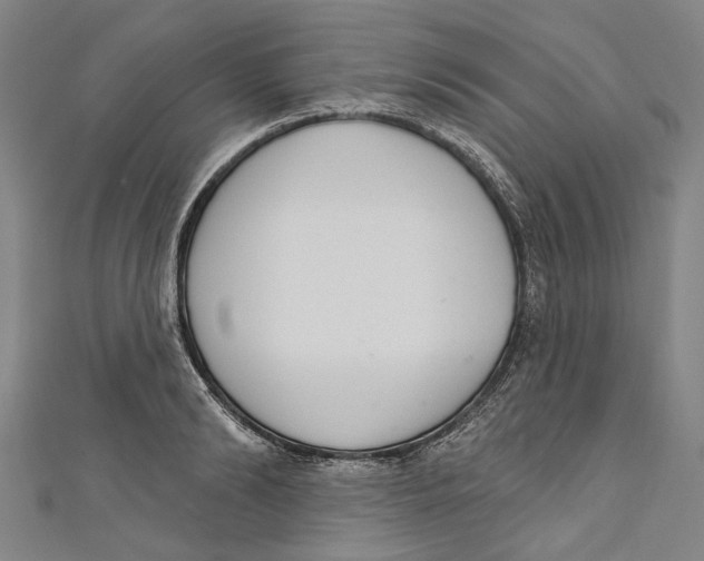 X0000111180894200907221046