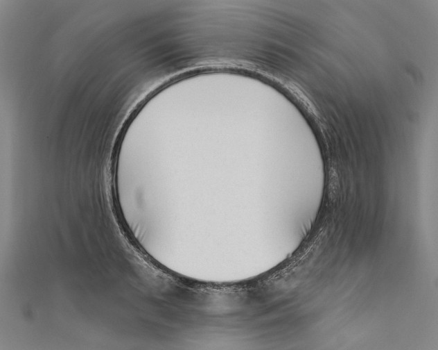 X0000111180895200907221046