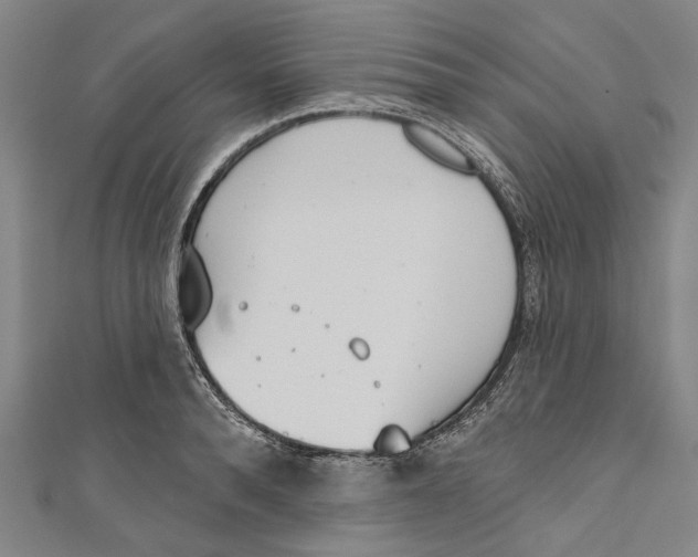 X0000111180896200907221046