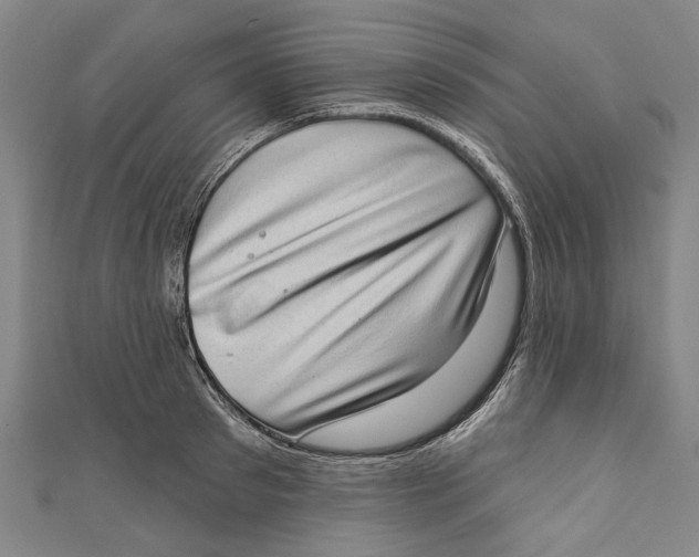 X0000111180897200907221046