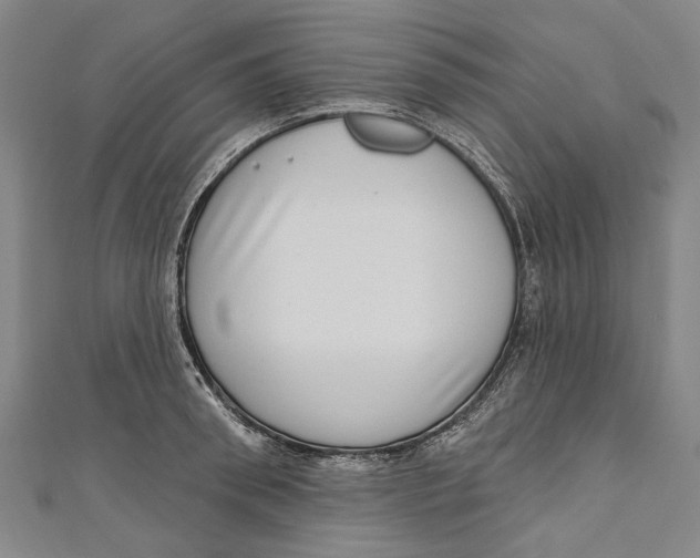 X0000111180898200907221046