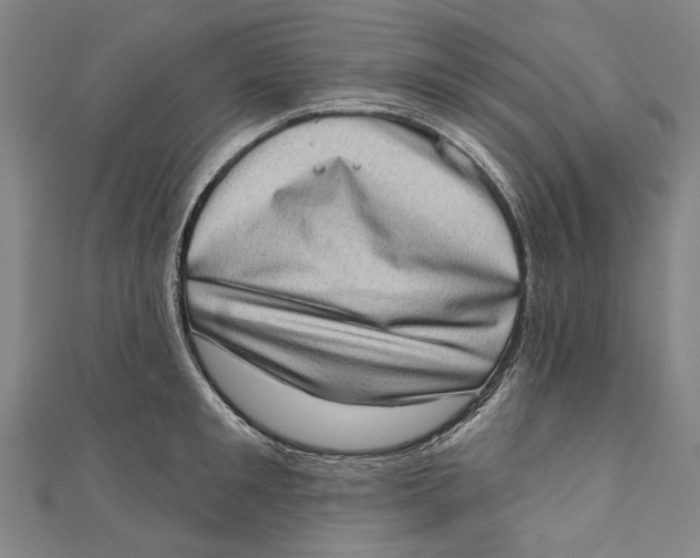 X0000111180901200907221046