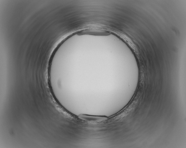 X0000111180904200907221046